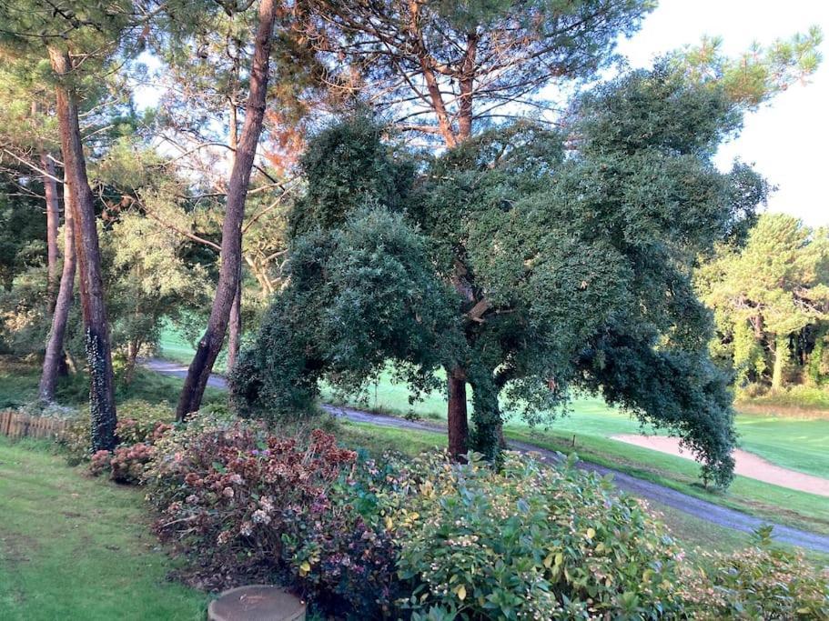 Vue Golf Dans Residence Nature "Sympalappart" Moliets-et-Maa Exteriör bild